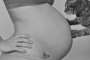 Gatos, toxoplasmosis y embarazo - Clínica Veterinaria Alguer